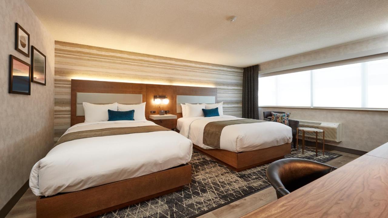 Room Two Queen Beds Fully Renovated 2021,1041167395:JPEG